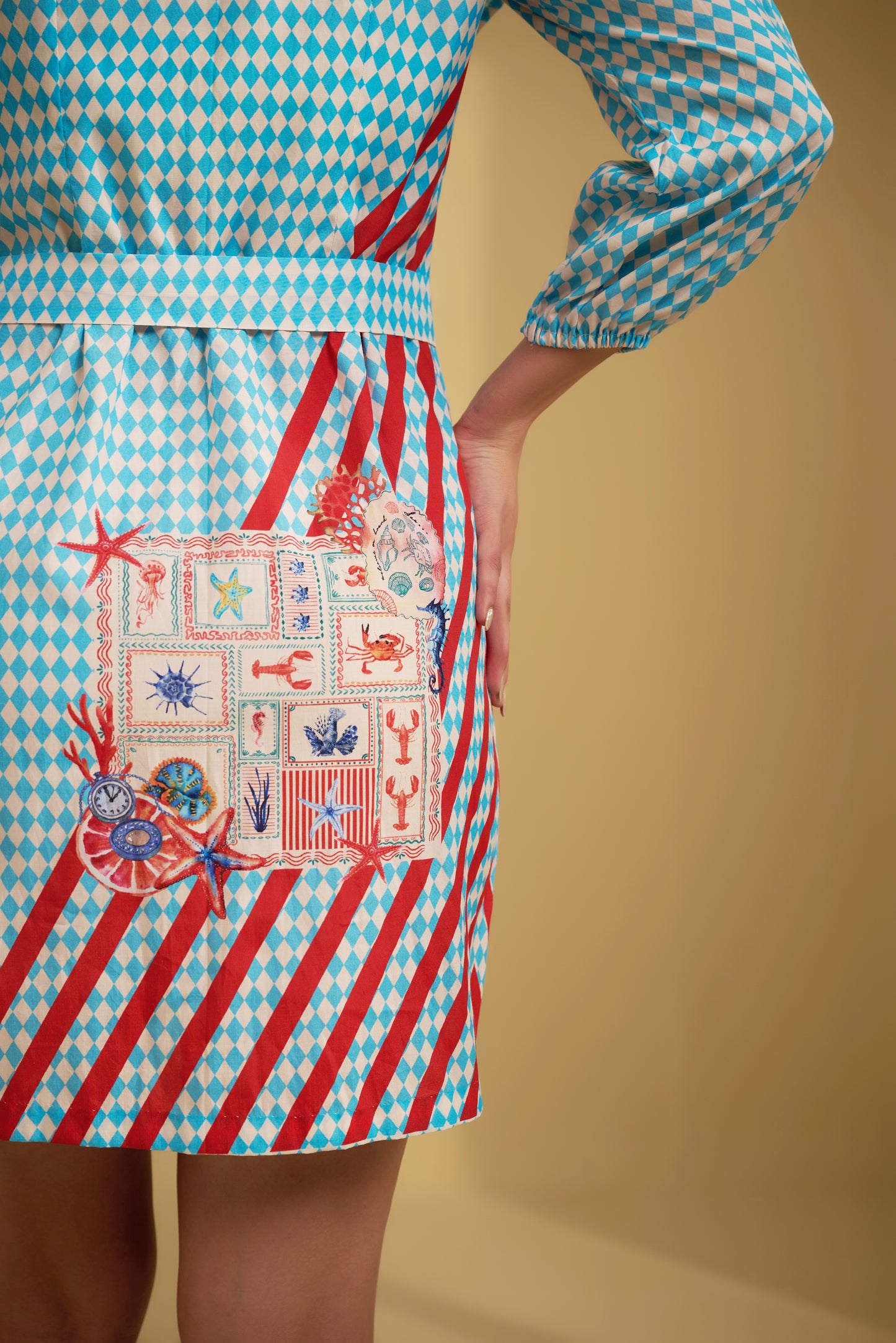 MARINE MUSE DRESS